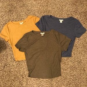 (3) Bozzolo cropped short sleeve shirts